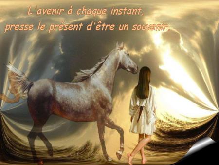 les le�ons de la vie